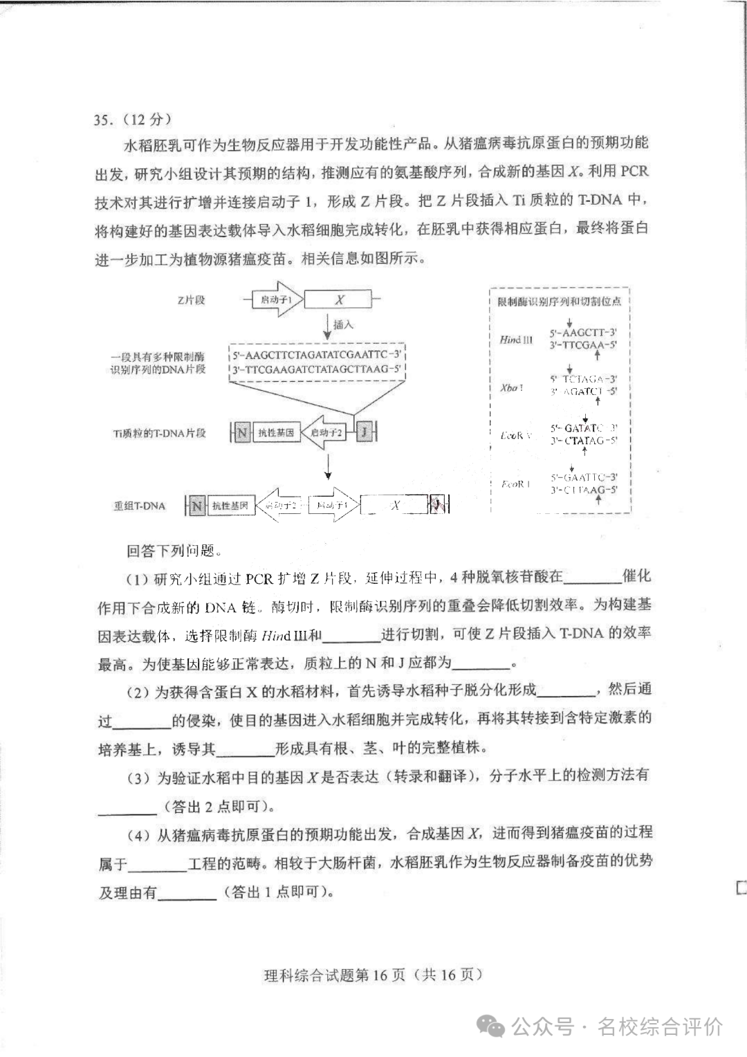 2024新高考九省联考理科综合试卷