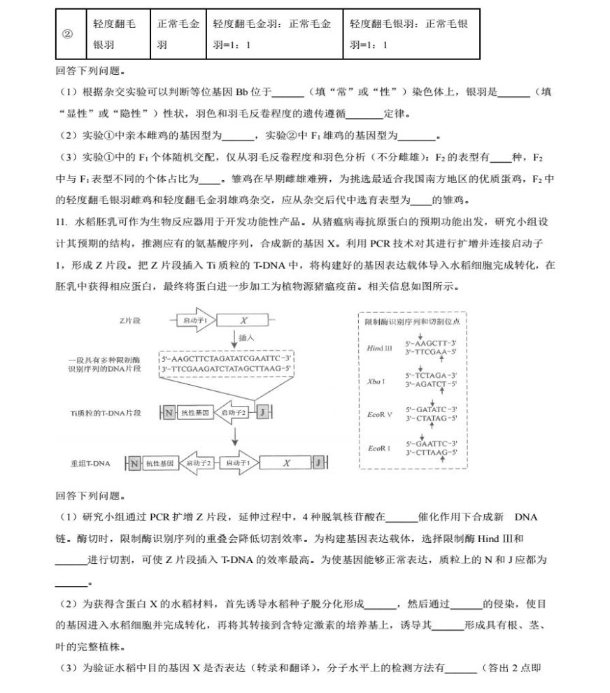 河南新高考2024九省联考理综试卷及答案